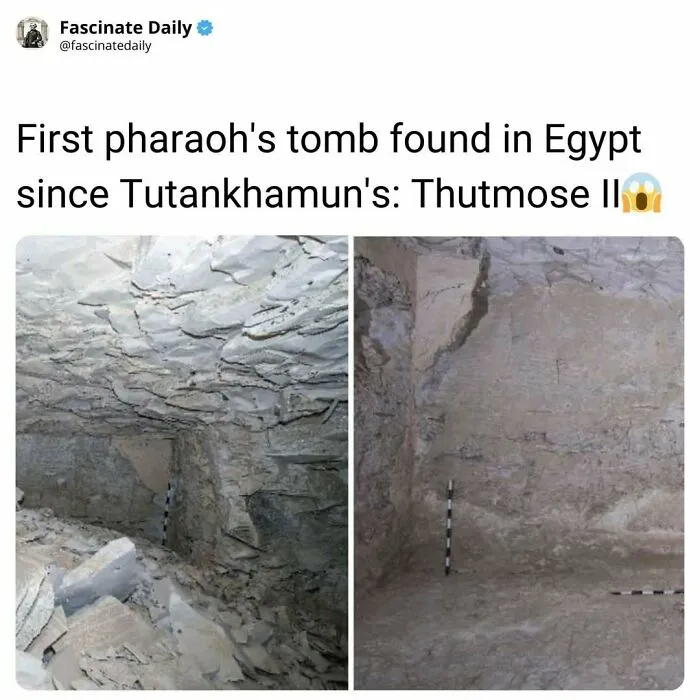 First pharaoh Thutmose II tomb found in Egypt since Tutankhamun ancient discovery