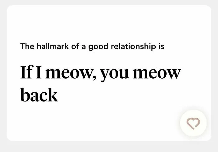 Weird Tinder bio hallmark of a good relationship is meowing back