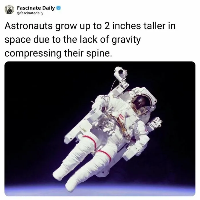 Astronaut floating in space illustrating astronauts grow taller due to lack of gravity