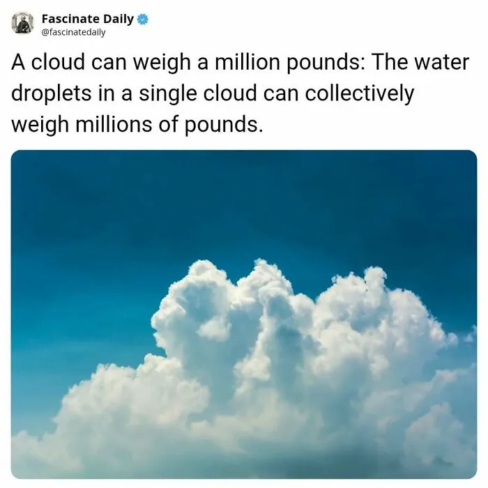 Fluffy white cloud under blue sky showing a cloud's weight of a million pounds