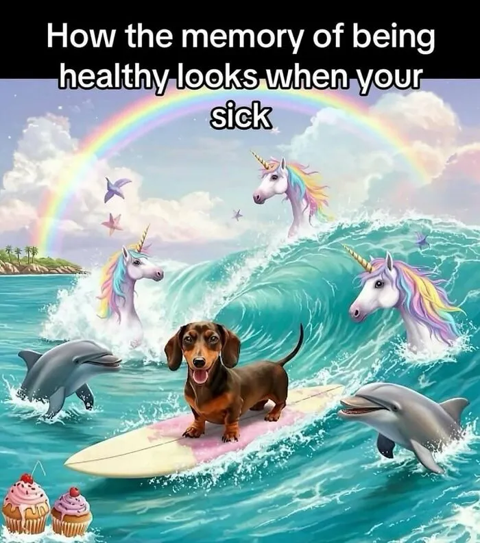 When Life Gets Too Serious, These 55 Random Memes Are Here To Save The Day