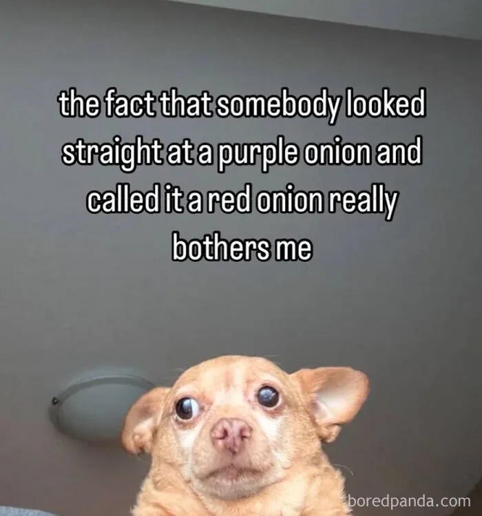 Funny meme with dog bothered by calling purple onion a red onion