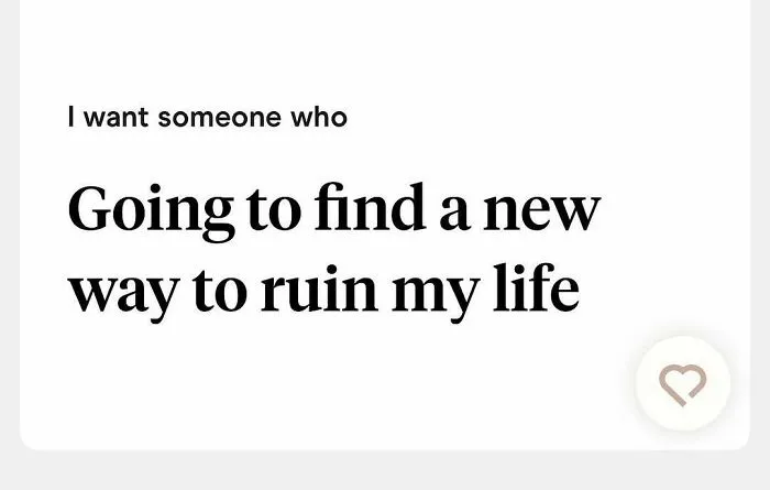 Tinder bio looking for someone to ruin their life in new way