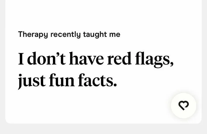 Tinder bio about no red flags, only fun facts from therapy