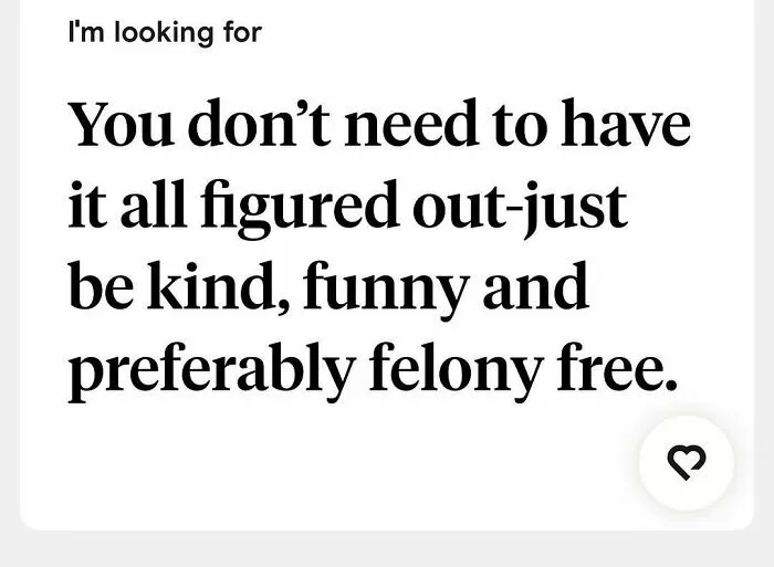 Tinder bio looking for kind, funny, and preferably felony-free partner