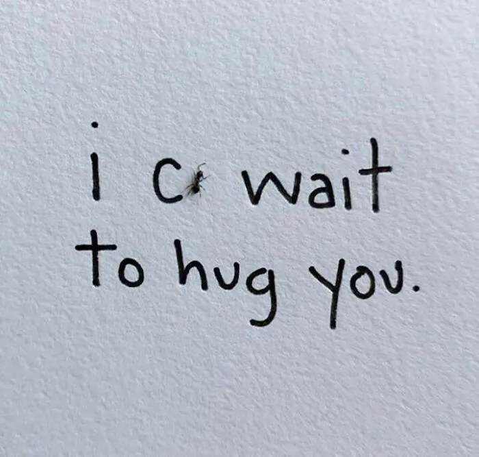 80 Tiny Doses Of Wholesomeness For When You Need Something Nice On Your Feed