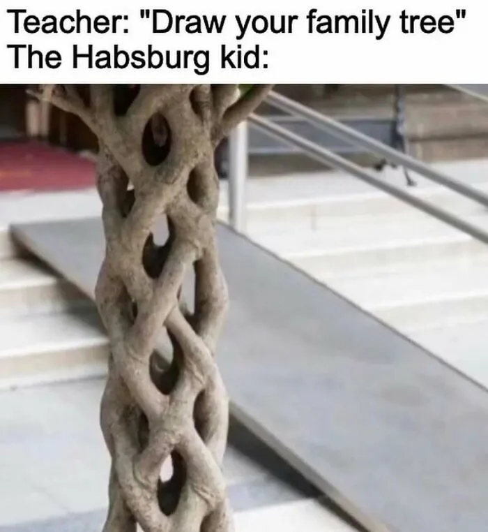 History meme about Habsburg family tree showing complex intertwined tree trunk