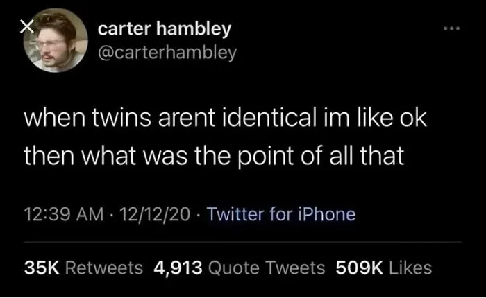Relatable meme about the purpose of twins and identical appearance