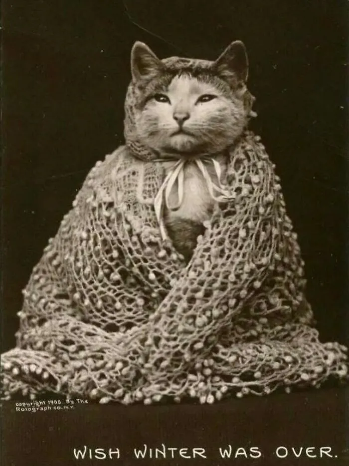 88 Fascinating Photos From The Victorian Era, As Documented By "Victorian Chronicles"