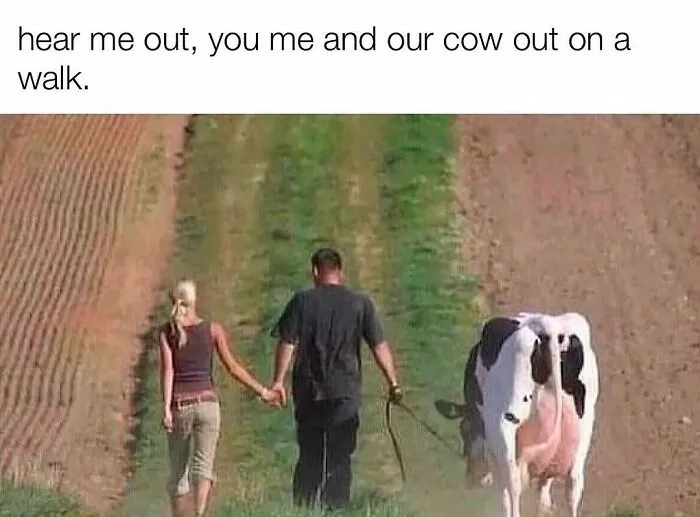 78 Hilarious But Not-So-Relatable Memes That Prove Rednecks Really Do Exist
