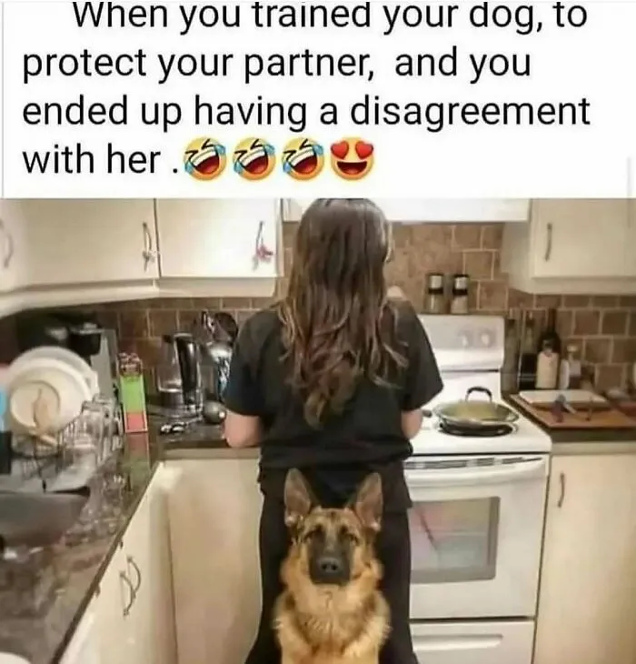 79 Dogs Just Being Dogs, And People Just Making Hilarious Memes Out Of Them