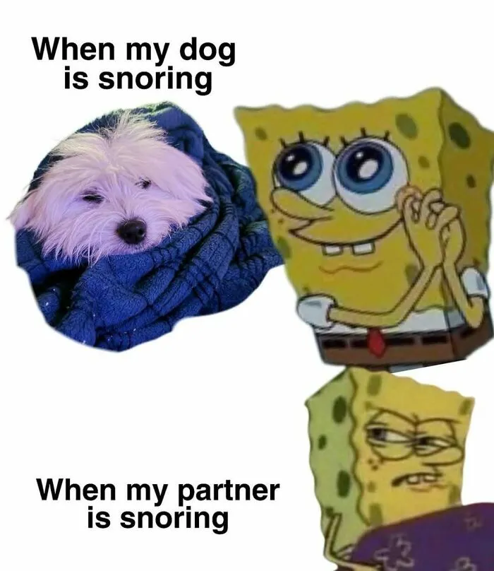SpongeBob and dog meme contrasting reactions to snoring with relatable memes
