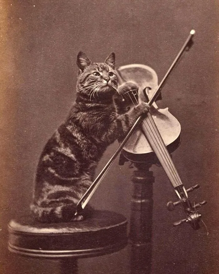 88 Fascinating Photos From The Victorian Era, As Documented By "Victorian Chronicles"