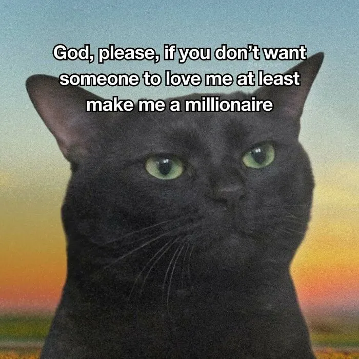 Black cat meme wishing to be a millionaire instead of loved
