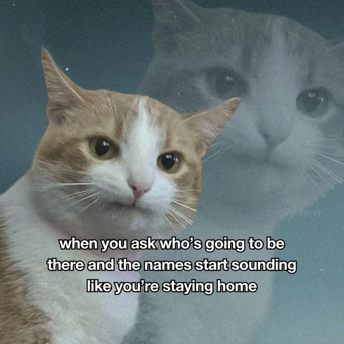 Relatable cat meme about social events with a pensive cat and moody background