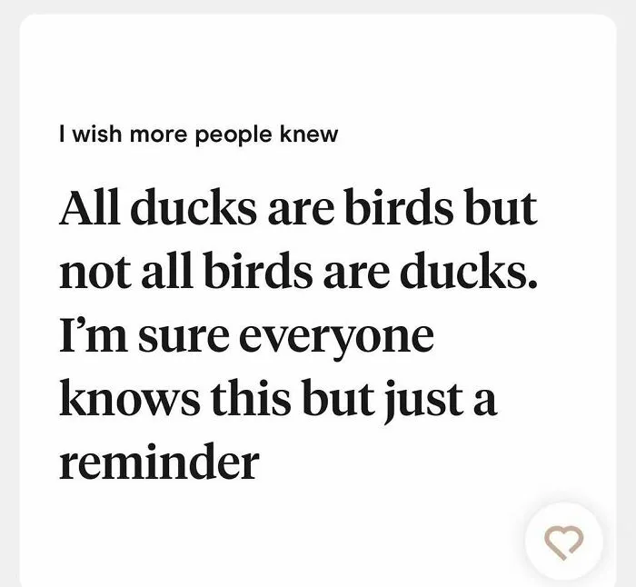Tinder bio explaining all ducks are birds but not all birds are ducks as a reminder