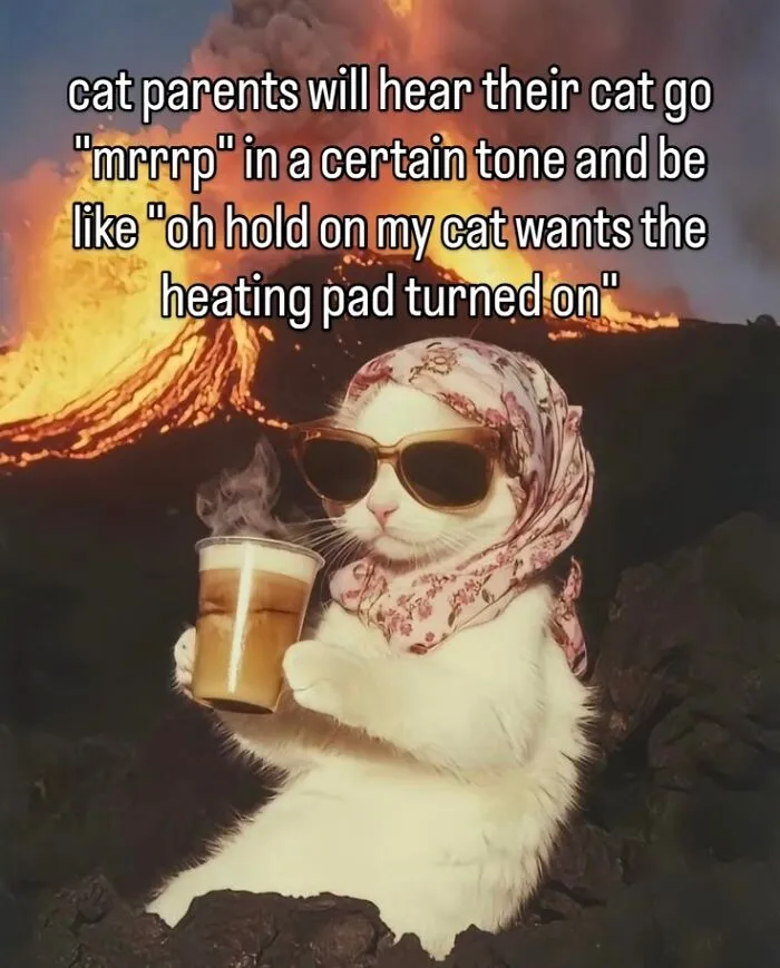 60 Memes For Anyone Who's Ever Sighed Audibly At Absolutely Nothing