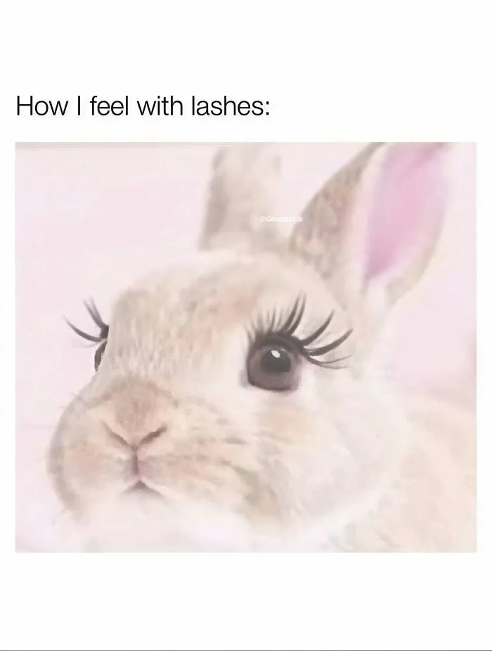 Funny memes about being a woman showing a cute rabbit wearing long false eyelashes