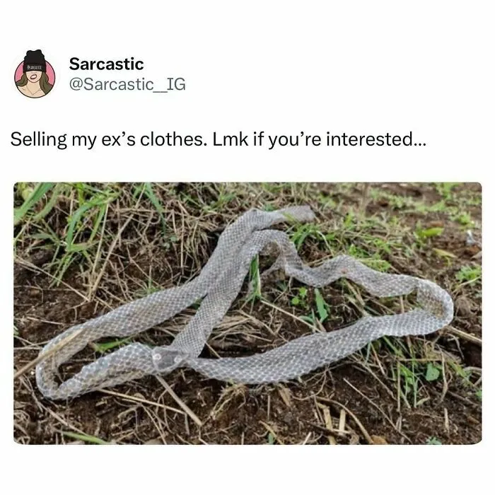 74 Absurdly Funny Memes That Will Have You Forgetting Your Problems For A Minute