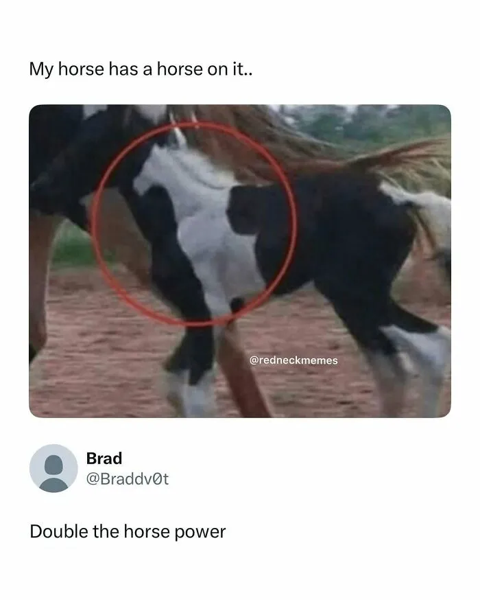 78 Hilarious But Not-So-Relatable Memes That Prove Rednecks Really Do Exist