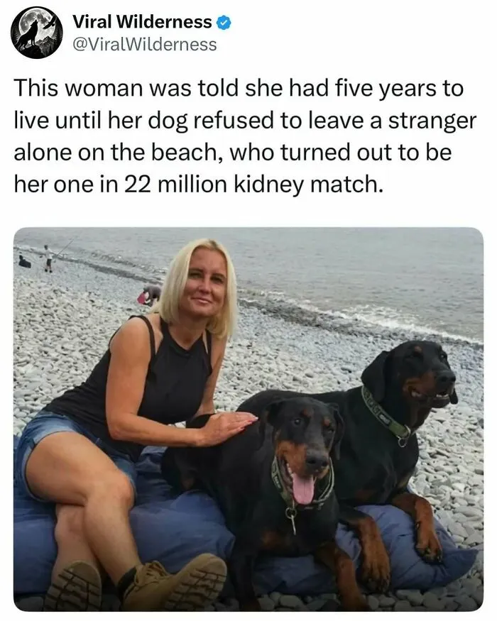 Woman sitting with two black dogs on pebble beach highlighting animal companionship story