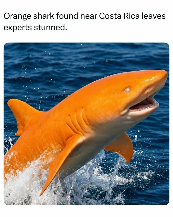An orange shark leaping out of the water, a unique specimen discovered through fascinating stories online.