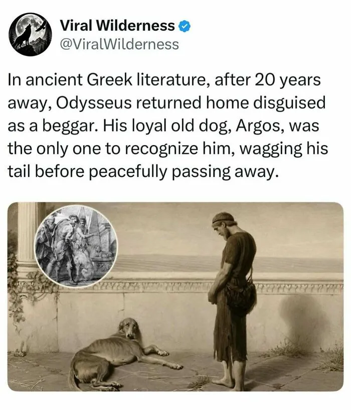 Illustration of Odysseus and his loyal dog Argos from ancient Greek literature