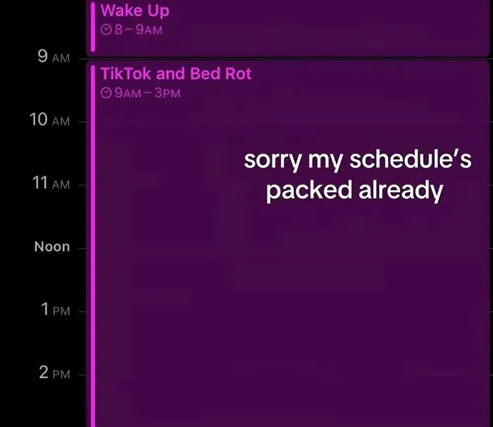 Screenshot of a strange daily schedule, capturing the internet at its strangest.