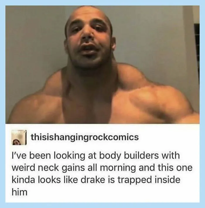 When Life Gets Too Serious, These 55 Random Memes Are Here To Save The Day