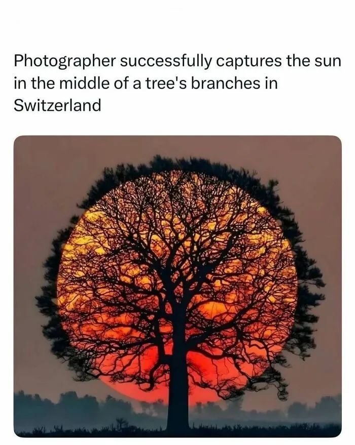 Sun captured perfectly within tree branches at sunset in Switzerland
