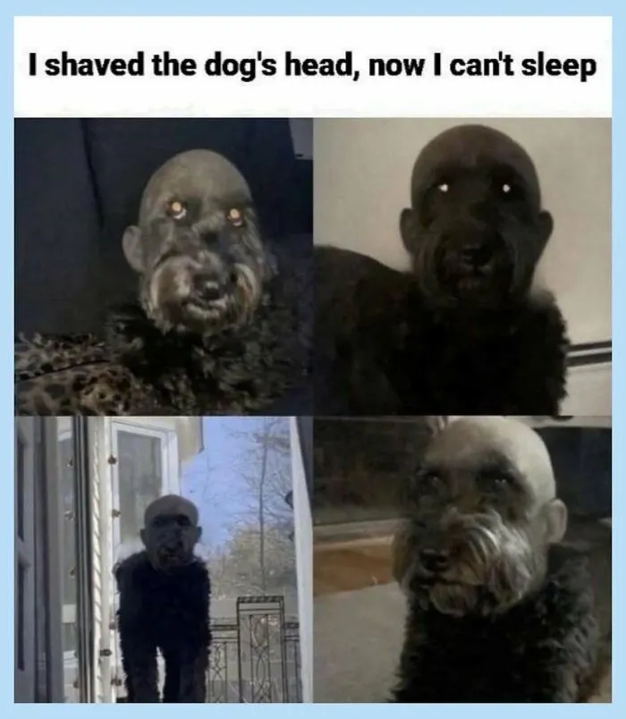 Random-Offensive-Memes