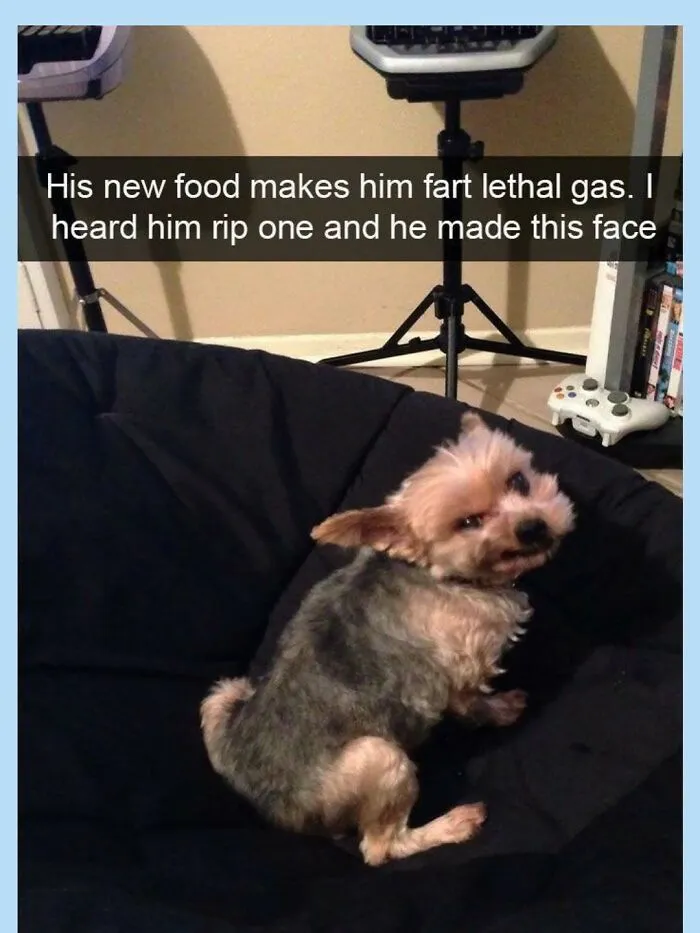 When Life Gets Too Serious, These 55 Random Memes Are Here To Save The Day