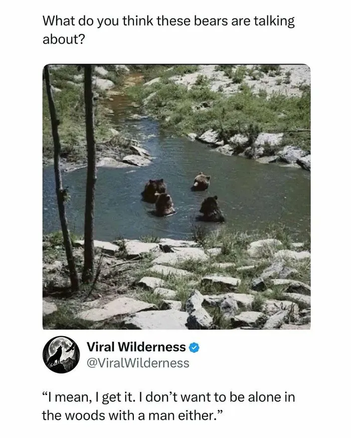 Group of bears sitting in water in wilderness nature scene