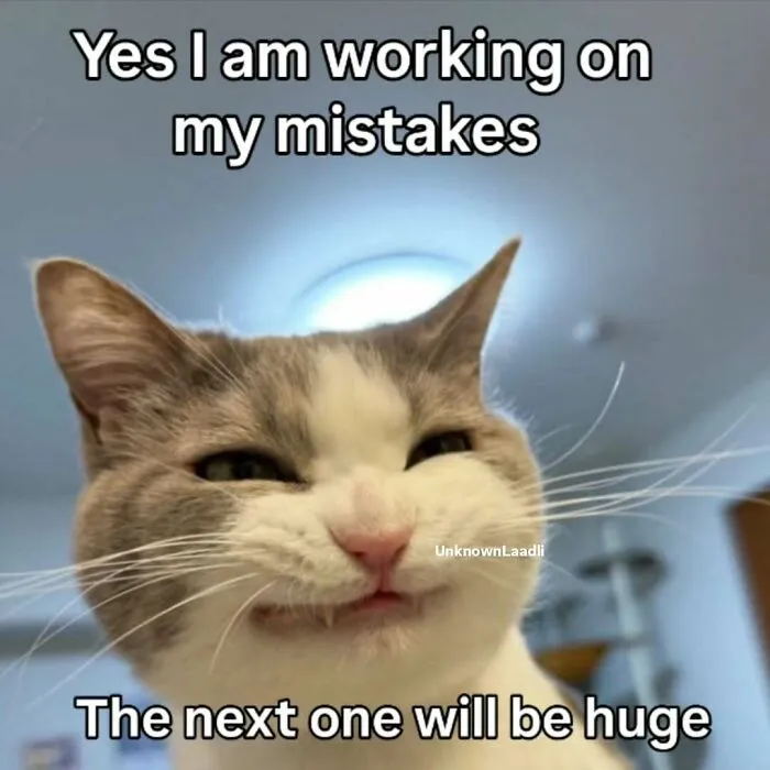 These 77 Relatable Cat Memes Are The Best Way To Start The Day With A Smile