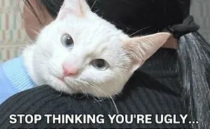 These 77 Relatable Cat Memes Are The Best Way To Start The Day With A Smile