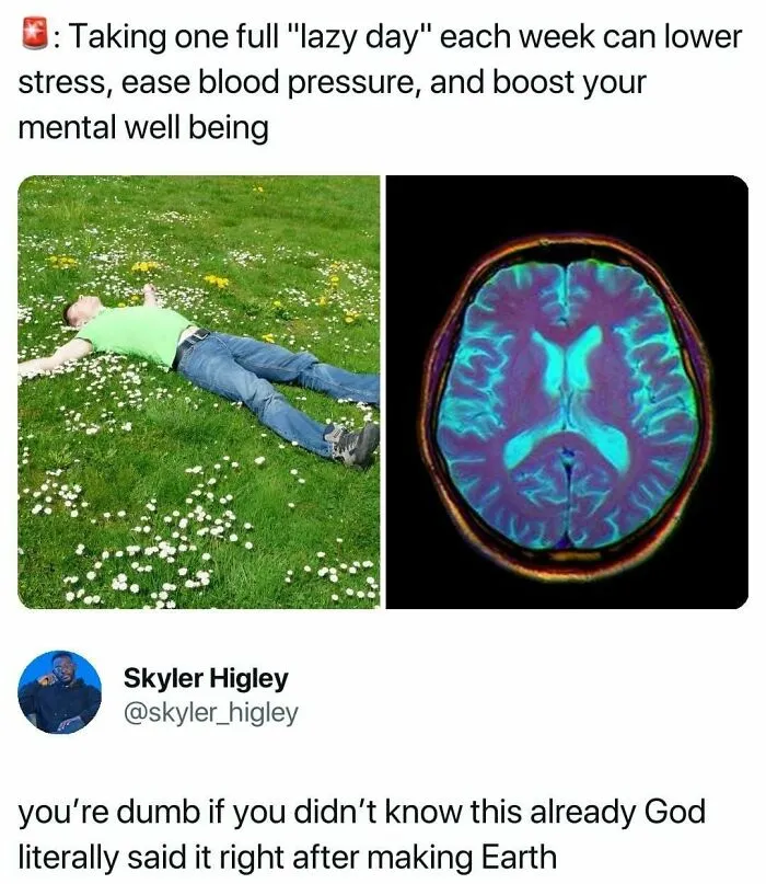 30 Pure Chaos Memes Guaranteed To Make Your Daily Scroll Feel Way Less Like A Huge Waste Of Time