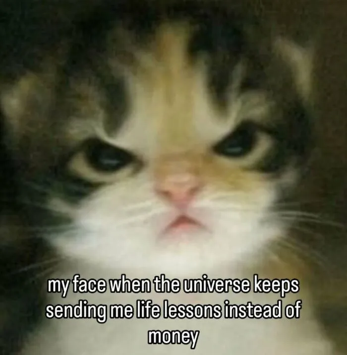 These 77 Relatable Cat Memes Are The Best Way To Start The Day With A Smile