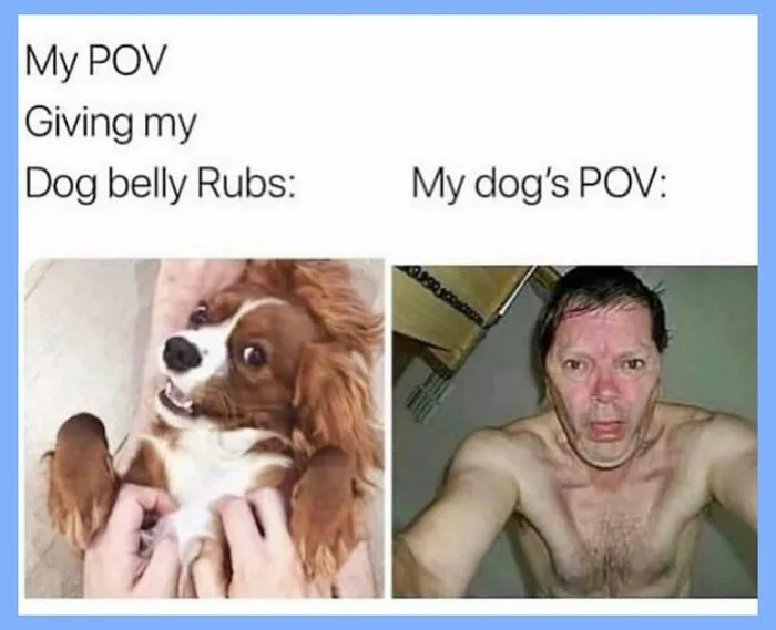When Life Gets Too Serious, These 55 Random Memes Are Here To Save The Day