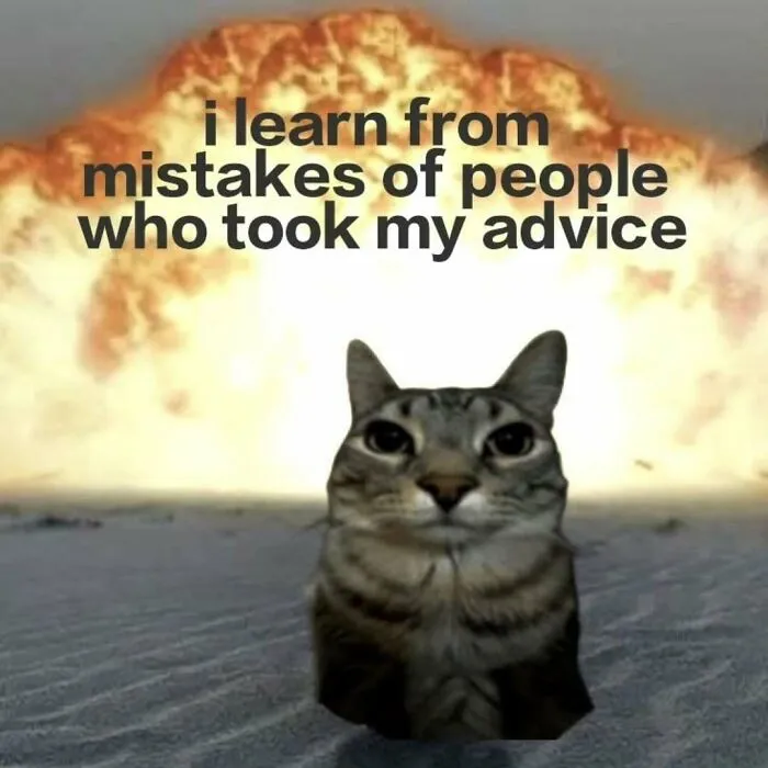 These 77 Relatable Cat Memes Are The Best Way To Start The Day With A Smile