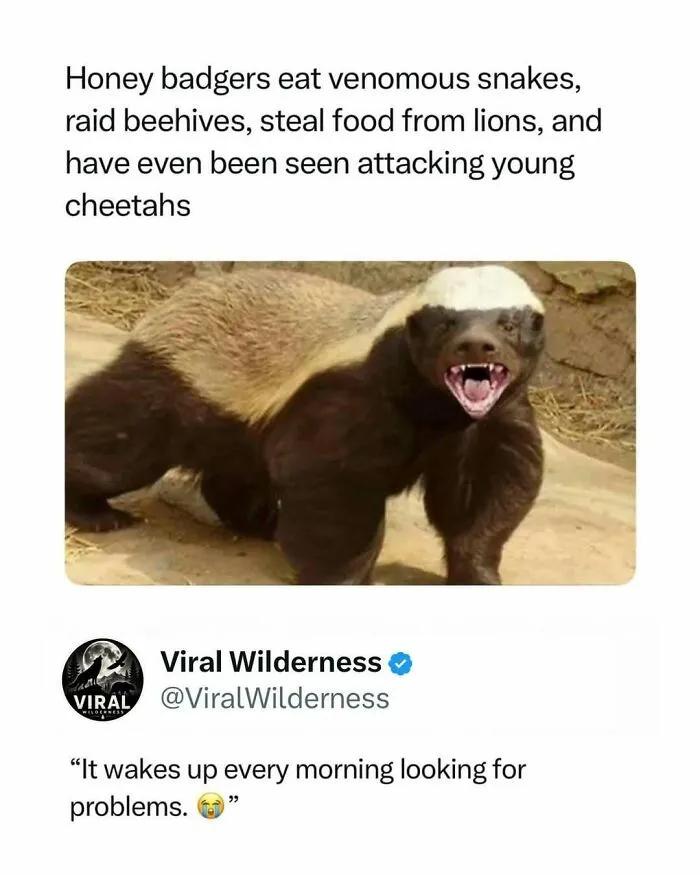 86 Fascinating Animal Moments That Show Just How Incredible Nature Can Be