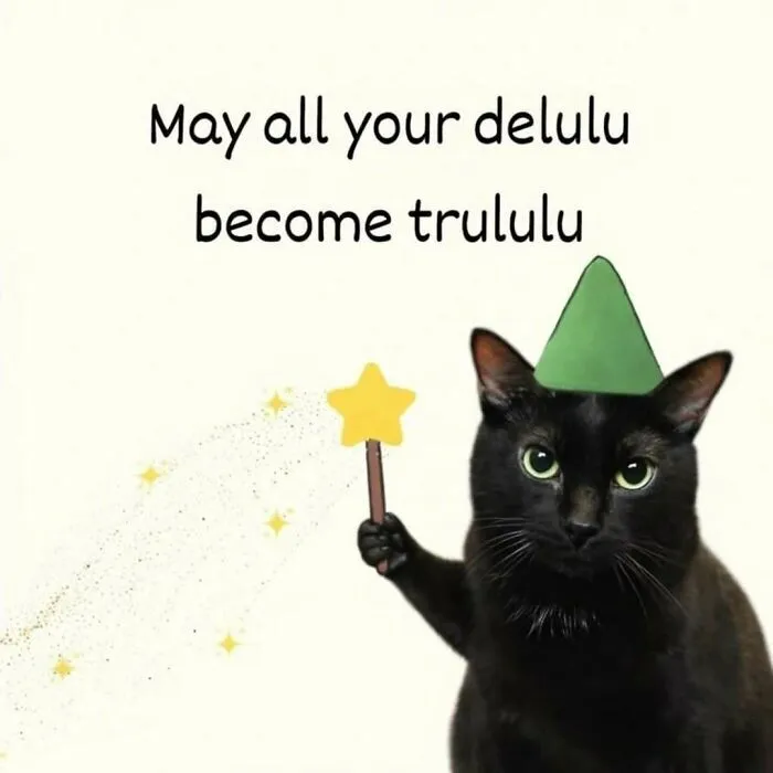 These 77 Relatable Cat Memes Are The Best Way To Start The Day With A Smile