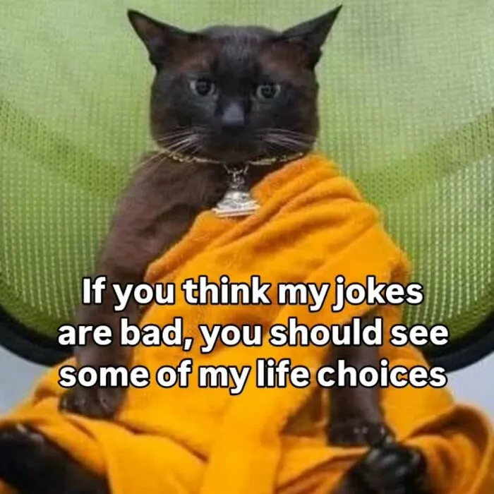 These 77 Relatable Cat Memes Are The Best Way To Start The Day With A Smile
