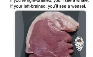 73 Funny And Chaotic Memes For When Life Gets Too Serious
