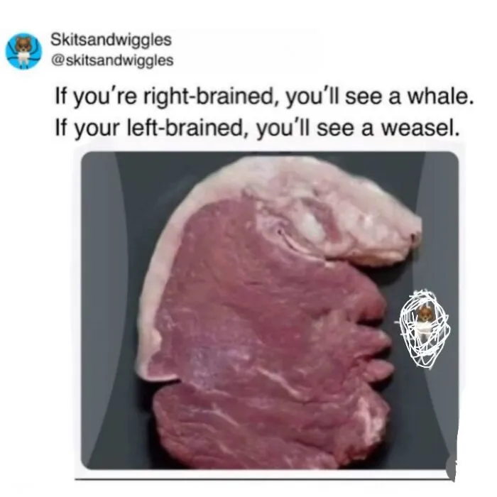 Random-Humorous-Funny-Memes