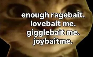 These 77 Relatable Cat Memes Are The Best Way To Start The Day With A Smile