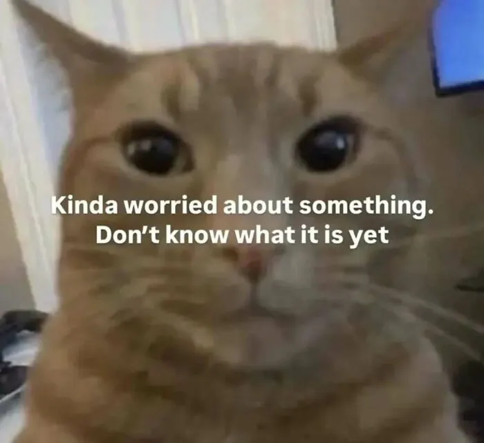 These 77 Relatable Cat Memes Are The Best Way To Start The Day With A Smile