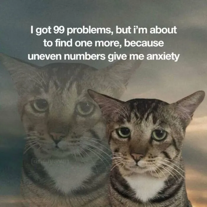 Funny-Memes-With-Cats