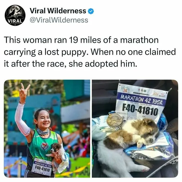 Woman running marathon carrying lost puppy later adopted showing wildlife animal rescue