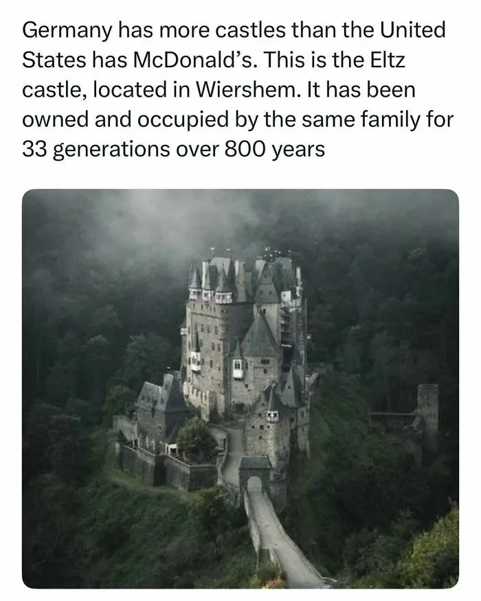 Eltz Castle in Germany surrounded by misty trees, a random find from the internet.