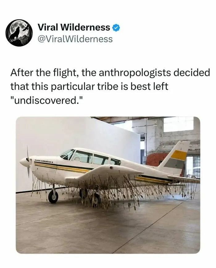 Small airplane indoors with dozens of arrows stuck in its underside, a unique wilderness scene